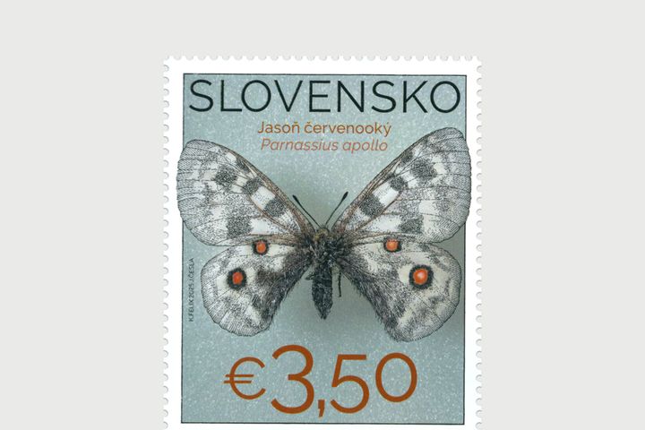 cover_motyl